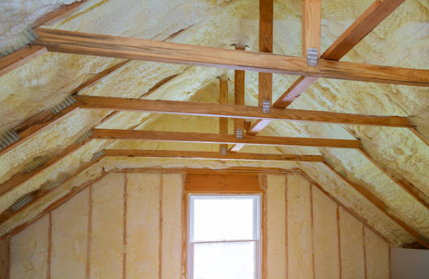 Best Types of Insulation in Esparto, CA