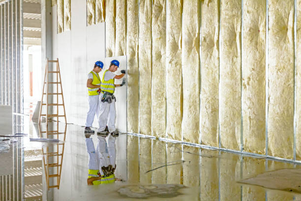 Best Insulation Maintenance and Repair in Esparto, CA
